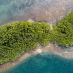 Parc National de Guadeloupe